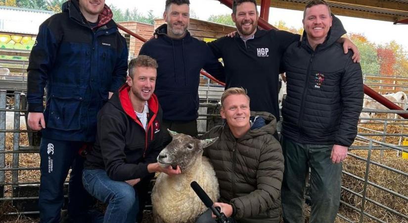 Majdnem három évig élt teljesen egyedül a világ legmagányosabb birkája