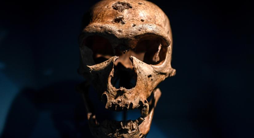 A neandervölgyi DNS-ből készítettek új antibiotikumot