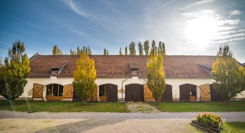 Márton-napi őszbúcsúztató a Majorban 2023 Keszthely