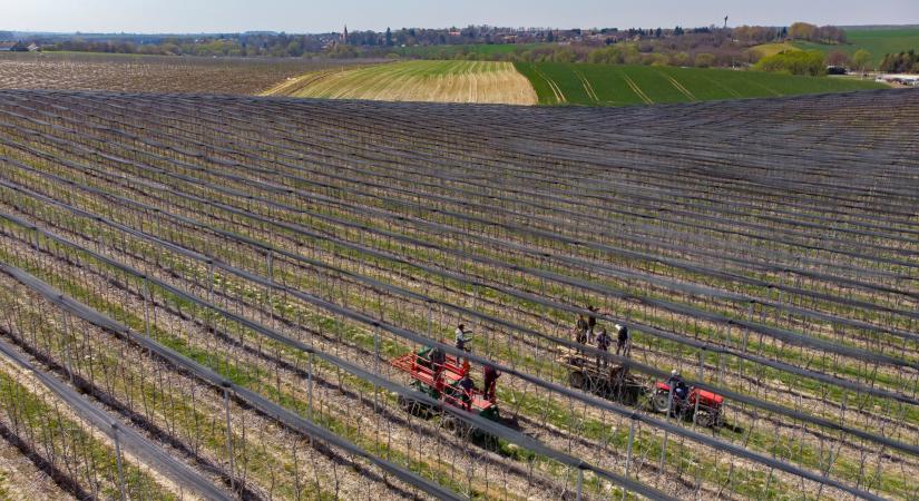 Hiába öntözzük a földet, ha tönkretesszük traktorokkal és kombájnokkal