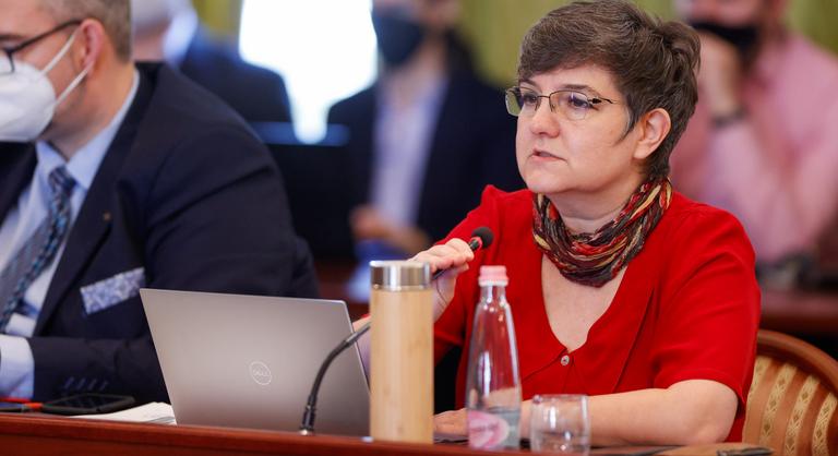 Fegyelmi eljárást kezdeményezett az I. kerület polgármesterével szemben a képviselő-testület
