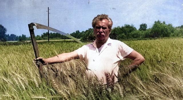 Volt értelme a kötelező olvasmányoknak? Mutasd meg, mennyire emlékszel rájuk!