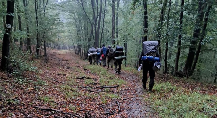 Túlélő programokat szerveznek a mecseki „vadonban” – Bear Grylls magyar hangja a „Farkas”!
