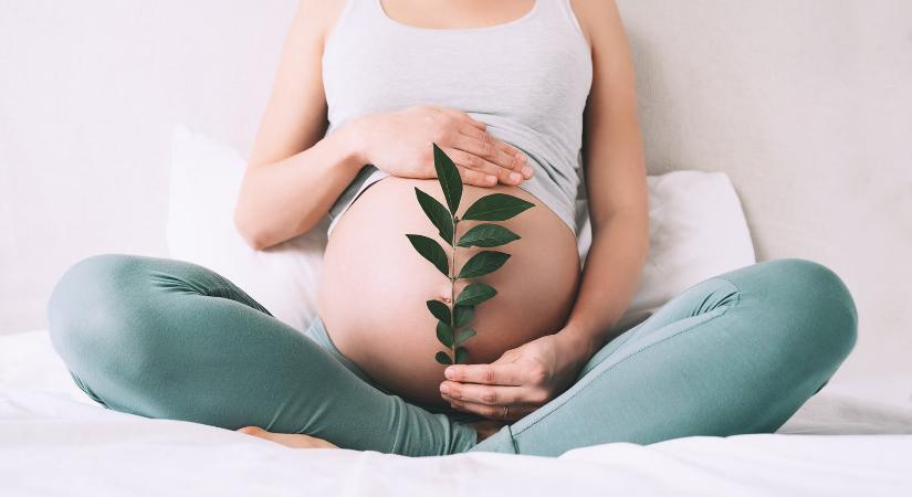 A vegán étrend csökkentheti a terhességi toxémia kockázatát