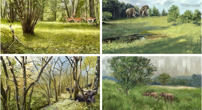 A Homo sapiens megjelenése előtt elefántok és orrszarvuk uralták az Európa nagyobb felén elterülő ligeterdős szavannákat