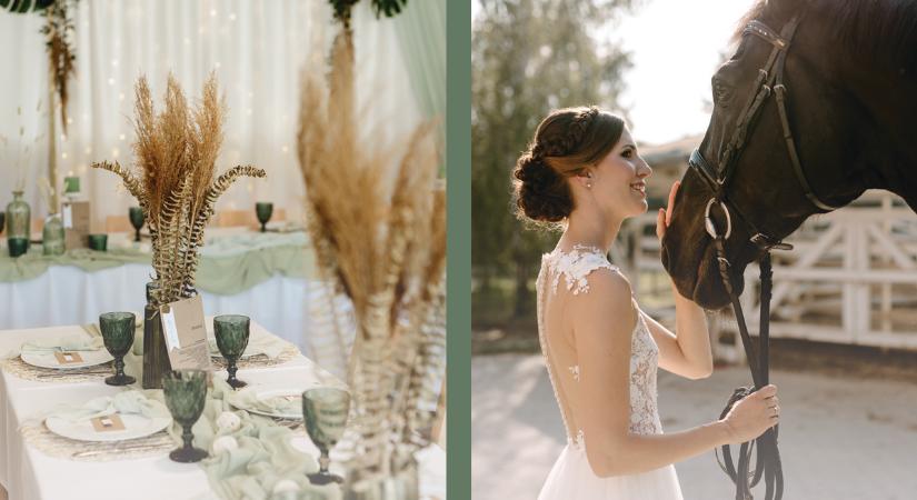 Wonderland lovas és rendezvényfarm – Ahol az álmok kezdődnek
