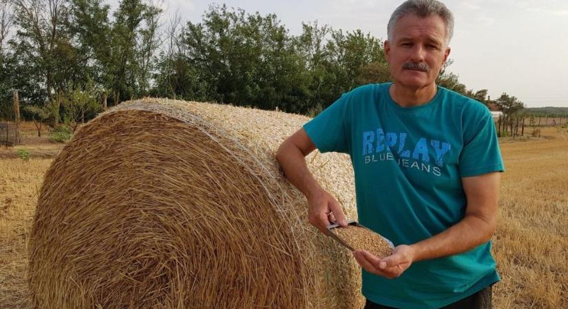 Kis-Szeniczey Kálmánt indítja az LMP polgármester-jelöltként Kiskunfélegyházán