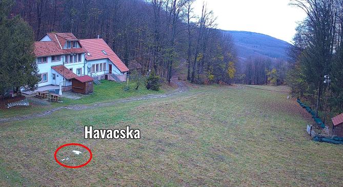 Alig maradt a hétvégi hóból Bánkúton