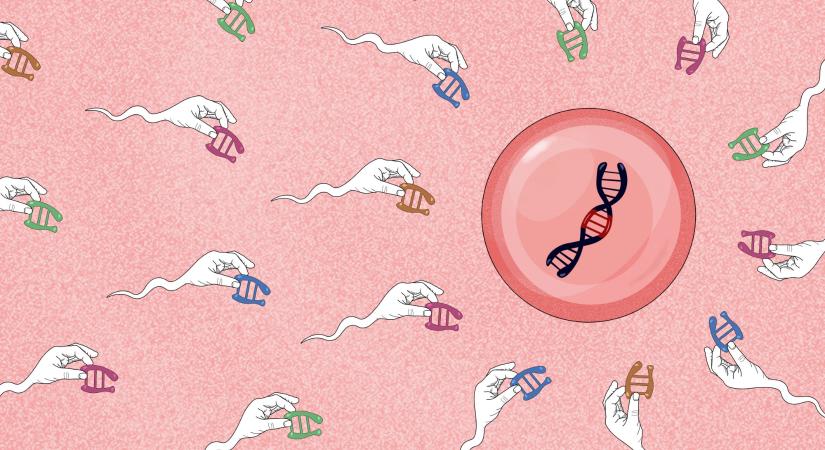 Kína 2035-ig a világ vezető biotechnológia hatalma szeretne lenni, de milyen áron?