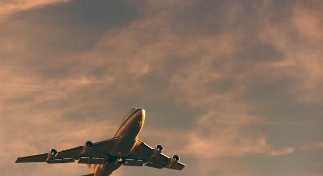 Ló szabadult el egy repülőgép rakterében az Atlanti-óceán fölött