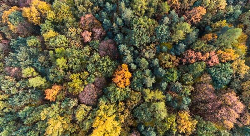 Vászonképekkel kapcsolatos tények és tévhitek
