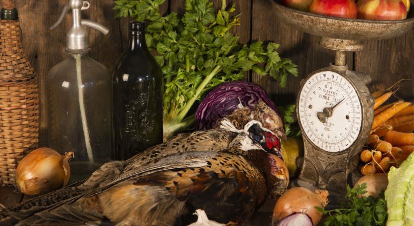 5 recept fácánhoz – ízletes és könnyű a húsa, piacon is beszerezhető
