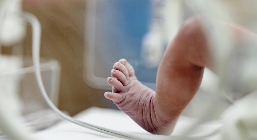 Koraszülöttek világnapja: ezt tehetik a szülők a babákért