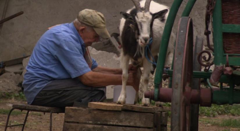 A Gyékénykoporsó nyerte a Lakiteleki Filmszemle fődíját