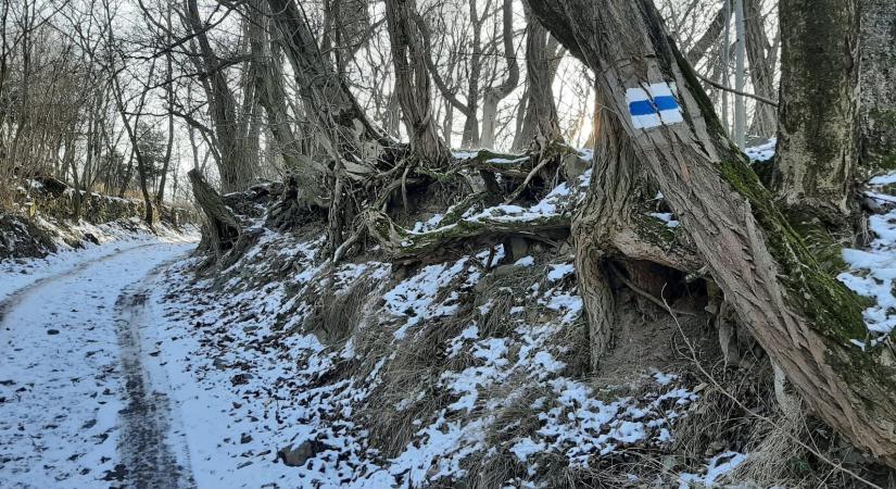 Óévbúcsúztató körtúra a Badacsonyon