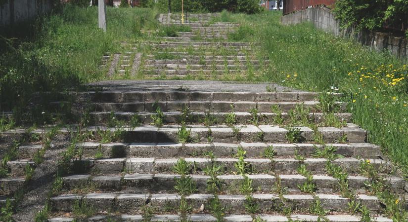 Csúszásveszélyt jelentenek a falevelek – hívja fel a figyelmet a problémára olvasónk