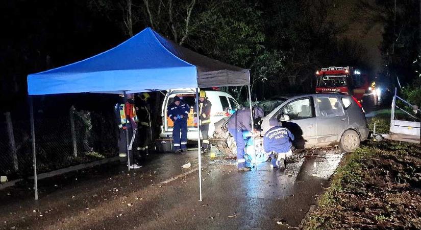 Drámai baleset Dunakeszinél – Azonnal meghalt a sofőr, fékezés nélkül csapódott fának az utánfutós autó – Fotók
