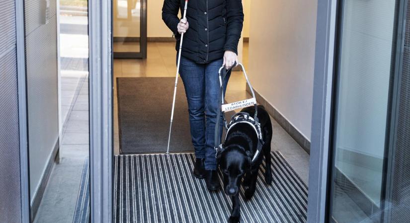Két boltba sem engedték be a vakvezető kutyával, beperelte őket és nyert