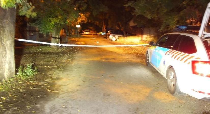 Megkéseltek egy férfit és a kutyáját Csepelen
