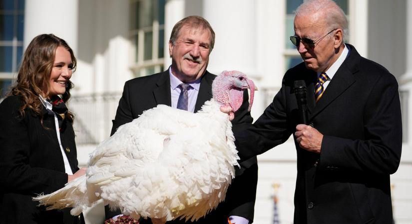 A biztos haláltól menekült meg két pulyka Joe Bidennek hála