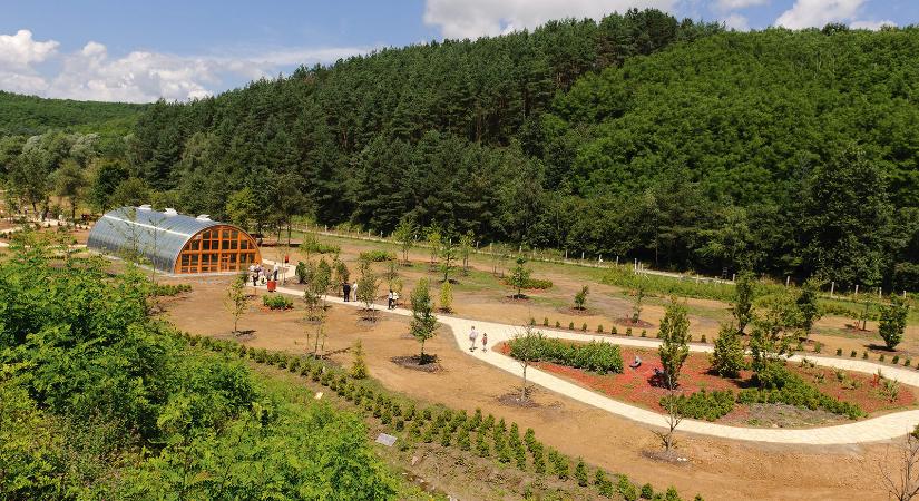 Magyar Jurassic parkok