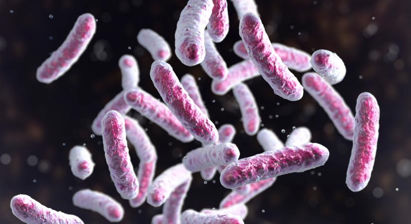 Erre vártunk: itt van egy új, égetően szükséges antibiotikum
