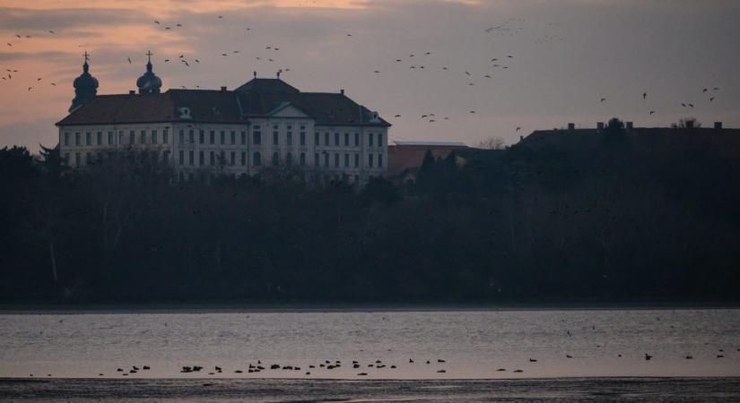 Szombaton lesz az idei Tatai Vadlúd Sokadalom