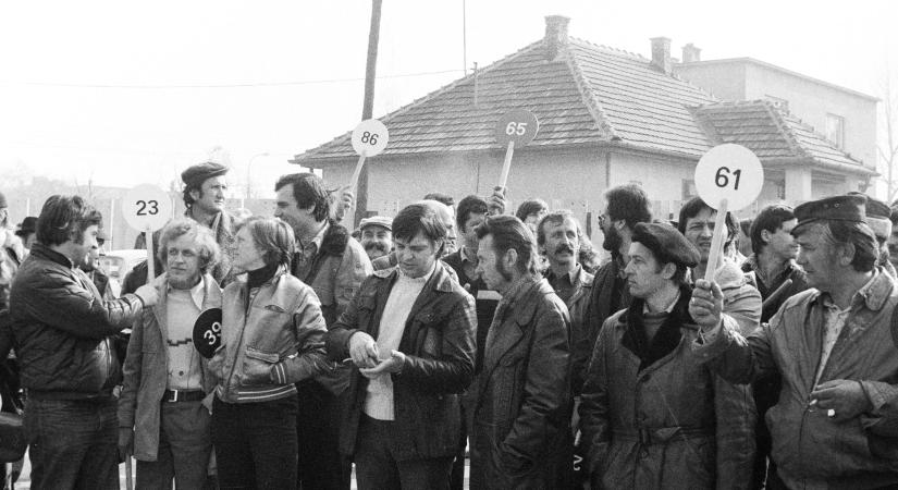 Eredménytelen volt a második állami földárverés