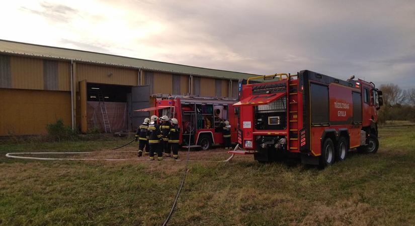 Kigyulladt a felhalmozott repce granulátum egy csarnokban Sarkadon