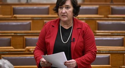 Gurmai Zita: a Fidesz masszívan gyermekellenes politikája miatt születik kevesebb gyerek