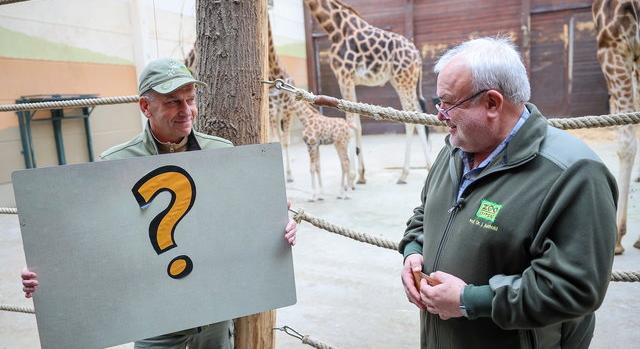 Műveltségi kvíz: ha ezek a kérdések nem mennek, nem végezhetnéd el az általánost