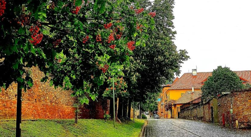 Múzeum utca, Pécs