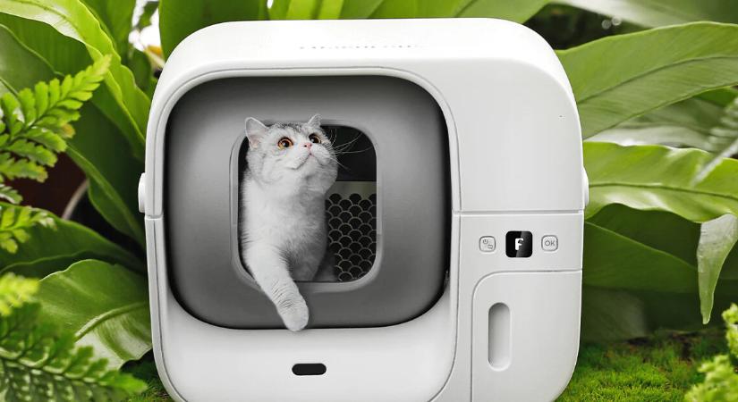 Furbulous Box - a macskaalmok Rolls Royce-a
