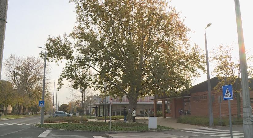 Megszületett a végeredmény