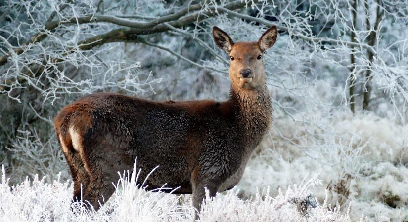 Adventi hétvége a Kincsek Völgyében