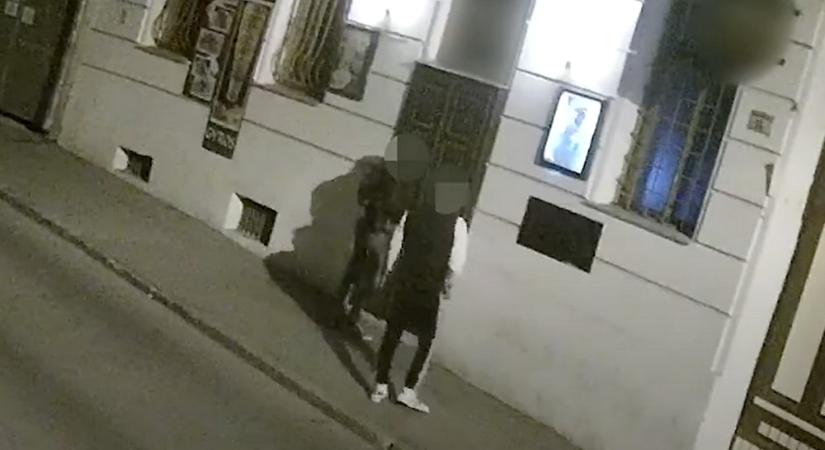 Meglopta volt munkaadóját egy fiatal tolvaj Pécsen