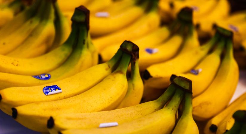 Valami váratlan történik, ha banánhéjat használunk alapanyagként