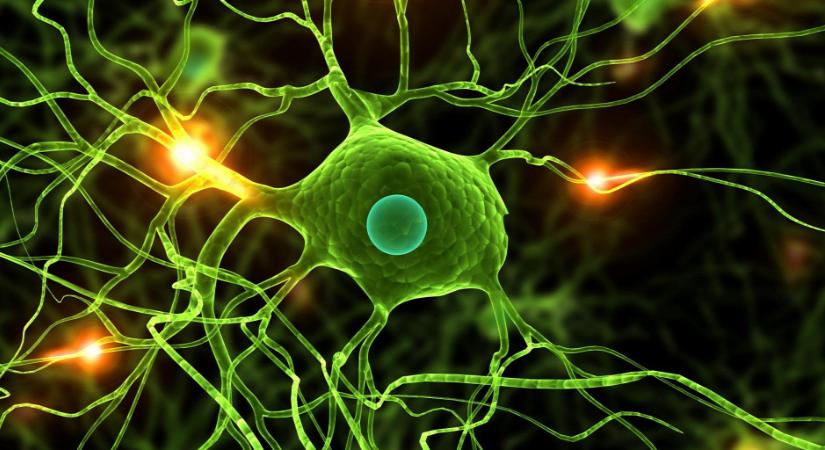 Újra tud járni a Parkinson-kóros férfi egy gerincimplantátumnak köszönhetően