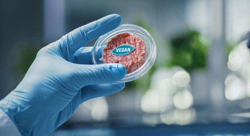 Így készül a gyárban a "vegán hús" - Ez a videó sok ember gusztusát elvette tőle