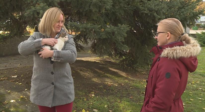 Ivartalanításra és szűrésre fordítja a támogatást az alapítvány