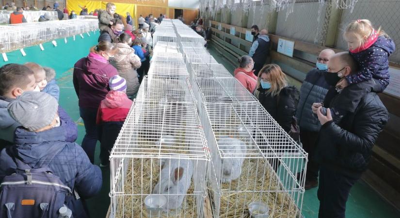 Ezeket a programokat ajánljuk az előttünk álló napokra