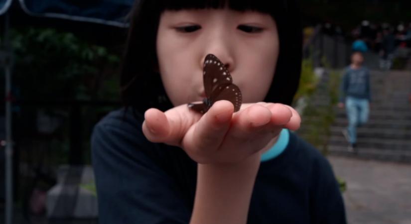 Izgalmas társadalmi témájú filmekkel jön a Taiwan Dox