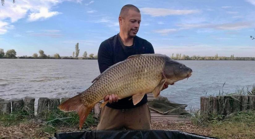 A nagy víz és az ág is szép pontyokat adott a debreceni horgászhelyen