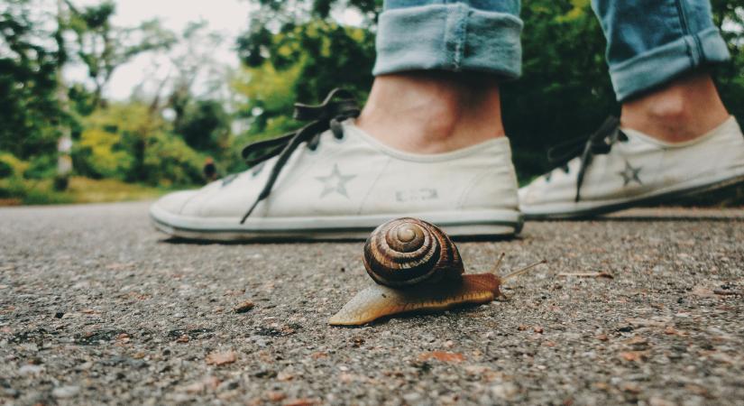 Japán módszerrel lassulok, és működik! – Wabi sabi a mindennapokban