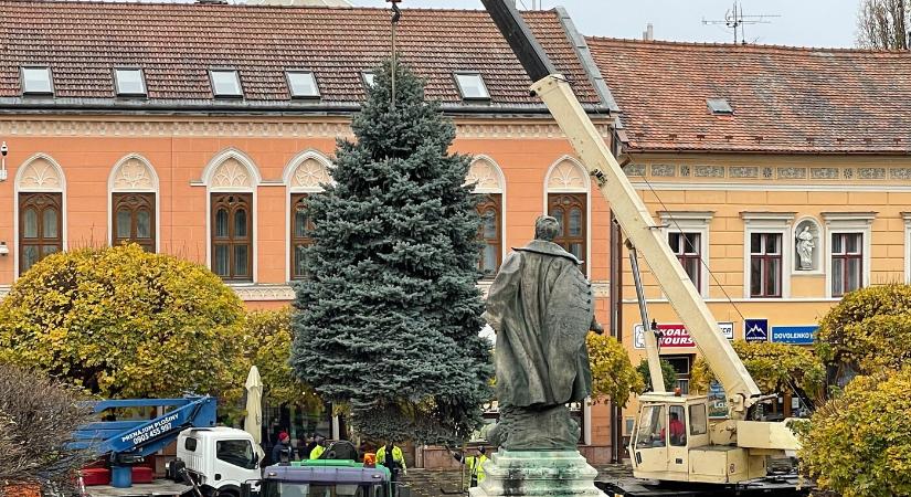 Felállították Komárom karácsonyfáját a Klapka téren