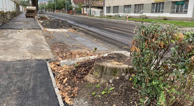 Pécsen így megy: zöldirtások lettek a zöldfejlesztésekből