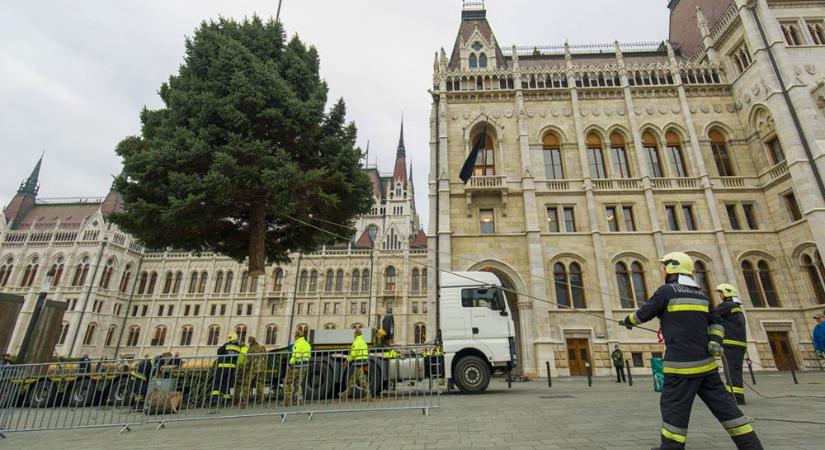 Holnap délutántól szállítják a Kossuth térre az ország karácsonyfáját, lezárják a fél országot