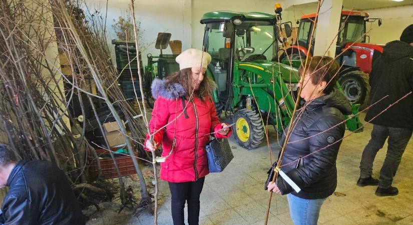 350 facsemetét osztottak ki a komáromiaknak