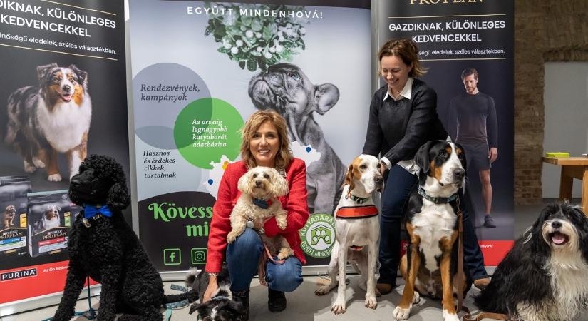 Taroltak a balatoni helyek a kutyabarátságban