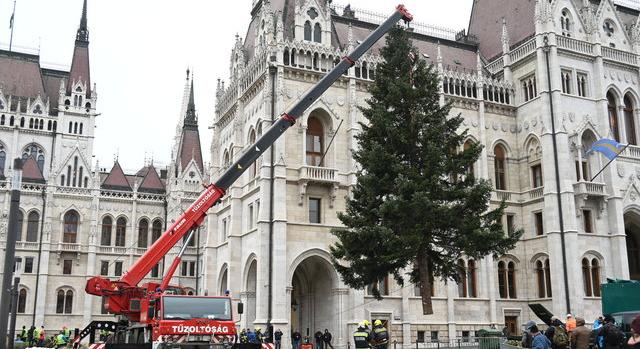 Már a Parlament előtt az ország karácsonyfája